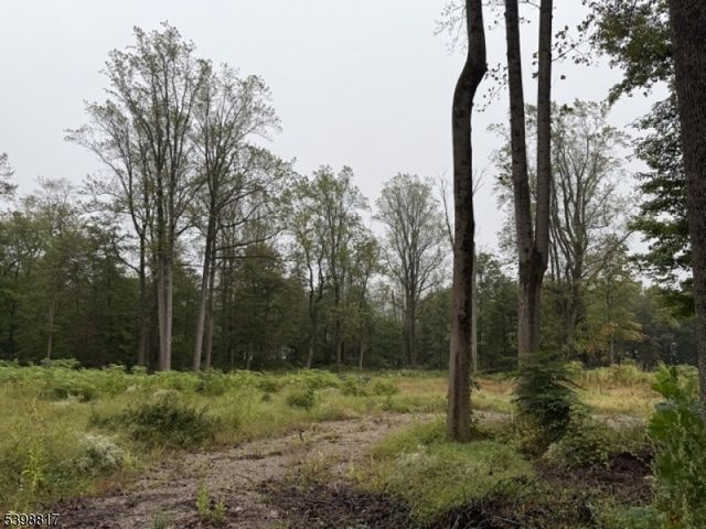 90 Century Ln, Watchung Boro, NJ 07069