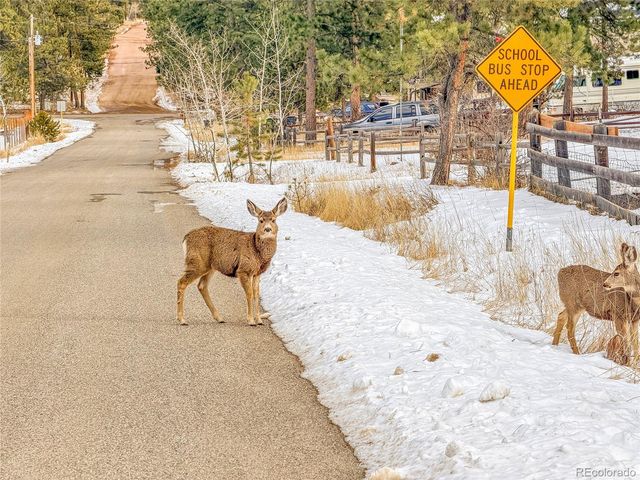 99 Mohawk Trail, Pine, CO 80470