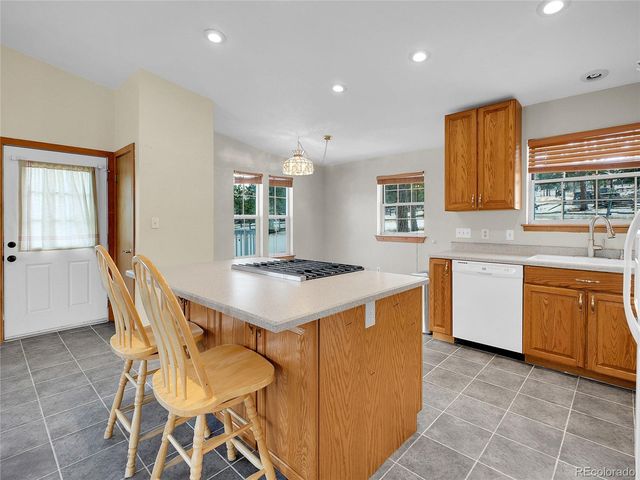 99 Mohawk Trail, Pine, CO 80470