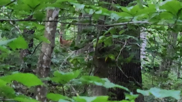 23028 Blue Ridge Road, Bristow, IN 47515