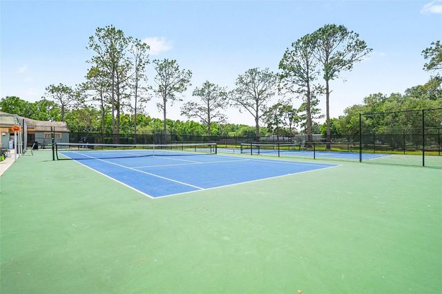 28310 TANGLEWOOD DRIVE, Wesley Chapel, FL 33543