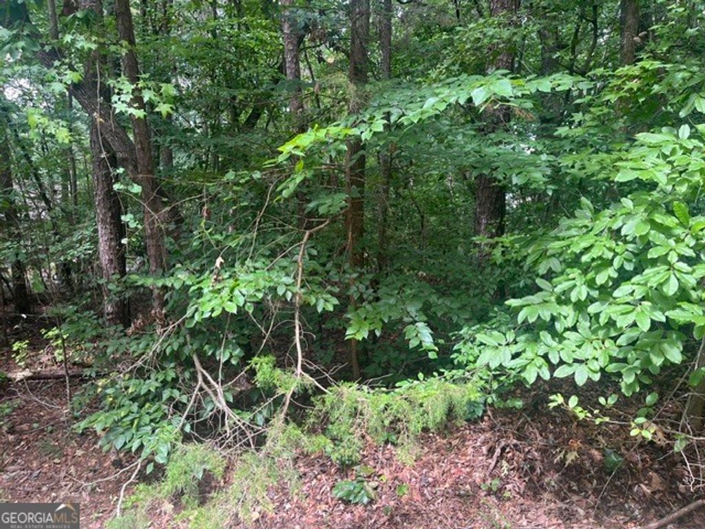 137 Tulip Lane, Westminster, SC 29693 — photo 2