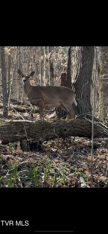 1658 Echo Court, Kingsport, TN 37665