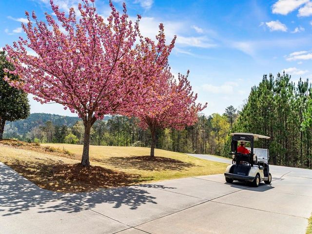 160 Cherokee S Drive, Waleska, GA 30183