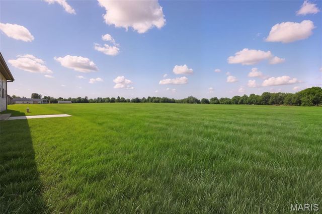 1013 Samwise Street, Wright City, MO 63390