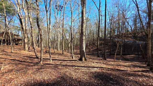 145R Red Oak Trail, Ellijay, GA 30540