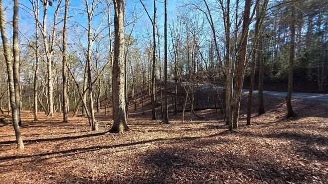145R Red Oak Trail, Ellijay, GA 30540