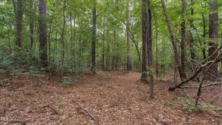1270 Hwy 469, Pearl, MS 39208