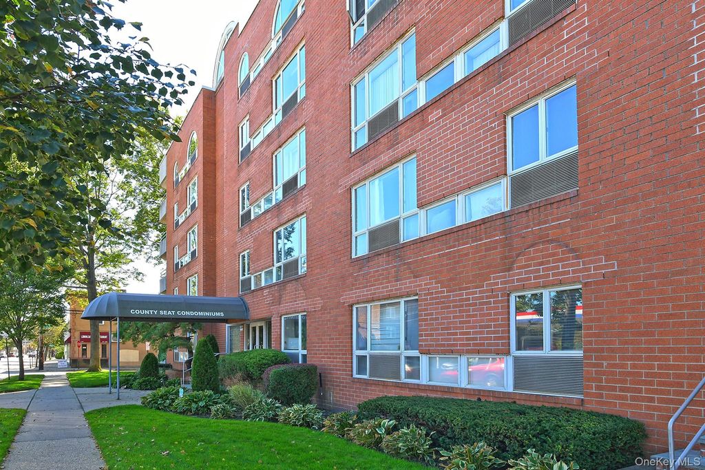 205 Mineola Boulevard 5I, Mineola, NY 11501 — photo 4