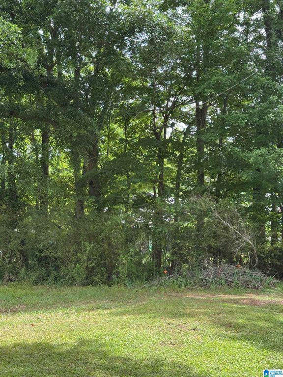2 RED FOX RUN, Birmingham, AL 35242