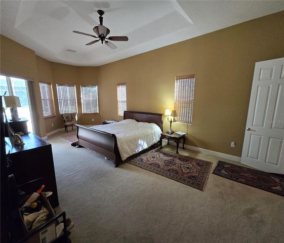 19153 GERACI ROAD, Lutz, FL 33558