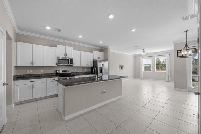 31615 BLUE PASSING LOOP, Wesley Chapel, FL 33545