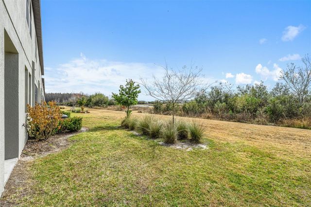 31615 BLUE PASSING LOOP, Wesley Chapel, FL 33545