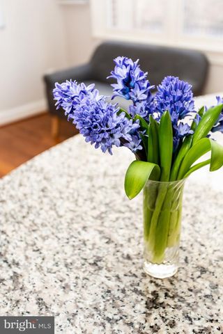 428 JOHN CARLYLE ST, Alexandria, VA 22314