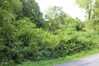 0 Early Branch Road, Rogersville, TN 37857