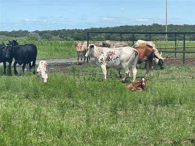 4565 County Road 140, Stephenville, TX 76401