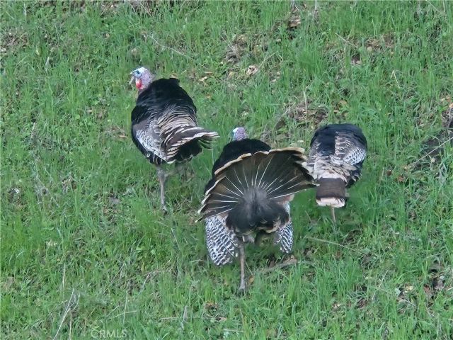 7330 Gage Irving Road, Paso Robles, CA 93446