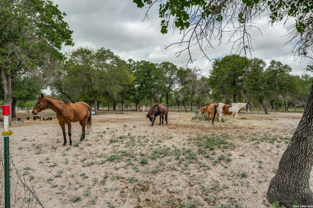 1855 BURR OAK LN, Adkins, TX 78101