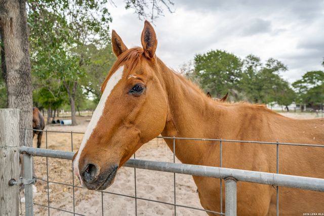 1855 BURR OAK LN, Adkins, TX 78101