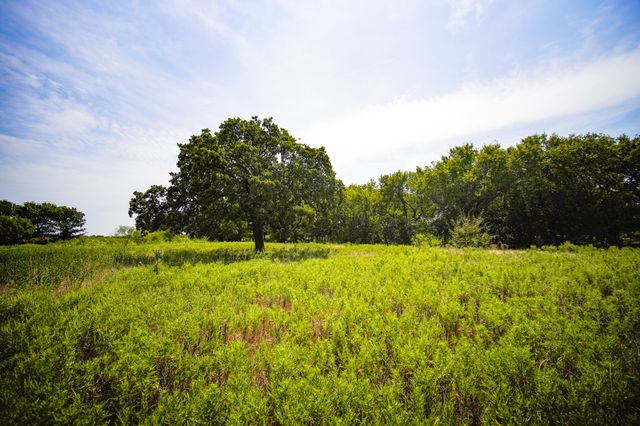 29.47 Acres Ballard Road, Jacksboro, TX 76458