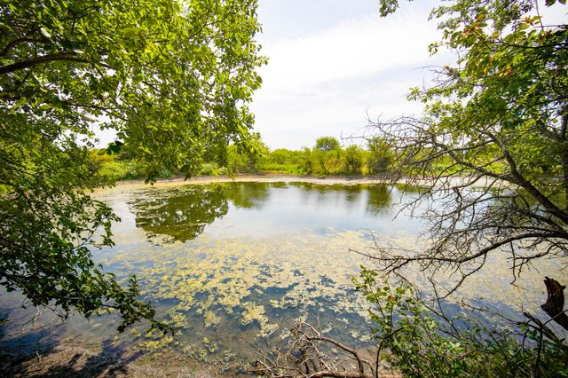 29.47 Acres Ballard Road, Jacksboro, TX 76458