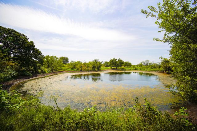 29.47 Acres Ballard Road, Jacksboro, TX 76458