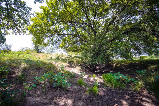 29.47 Acres Ballard Road, Jacksboro, TX 76458