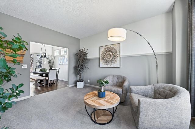 6657 White Birch Court, Blaine, MN 55014