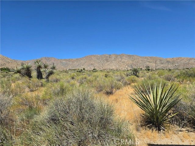 5 Apache, Morongo Valley, CA 92256