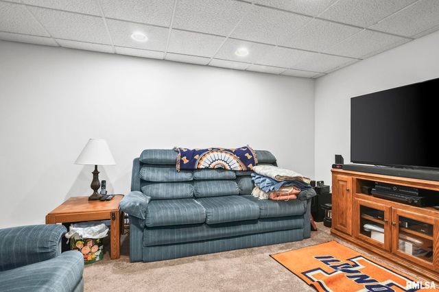 802 E LOCUST Court, Chatham, IL 62629