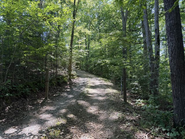 725 Calvert Ridge Rd, Westmoreland, TN 37186