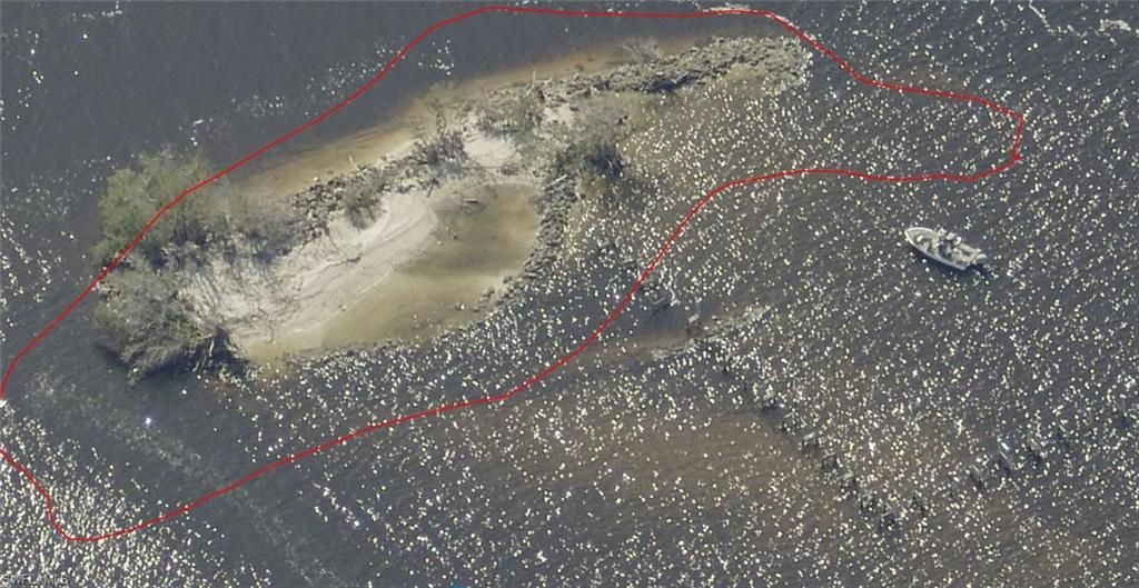 Little Shell Island, FORT MYERS, FL 33905 — photo 3