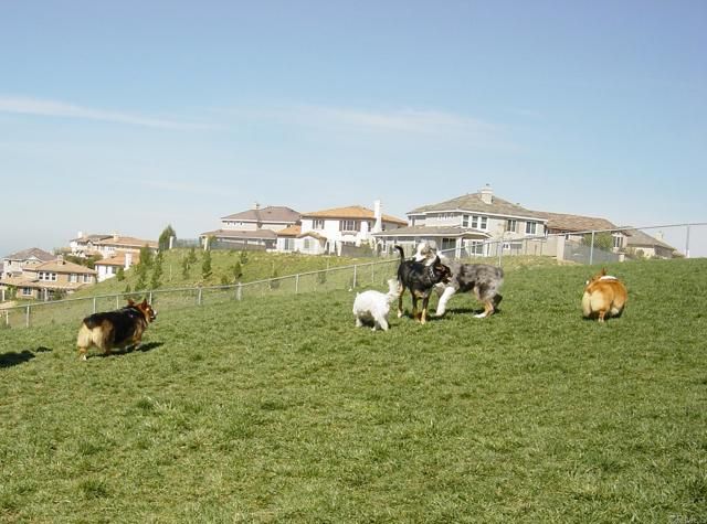 1717 Thorley Way, San Marcos, CA 92078