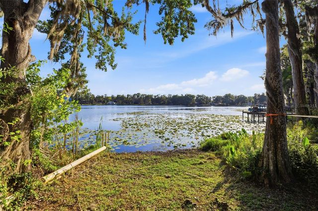 14702 BLUESTONE LANE, Odessa, FL 33556