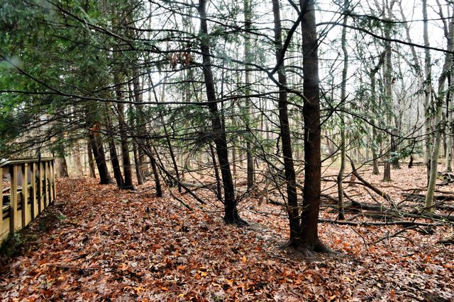 514 E Bellevue Avenue, Beverly Shores, IN 46301