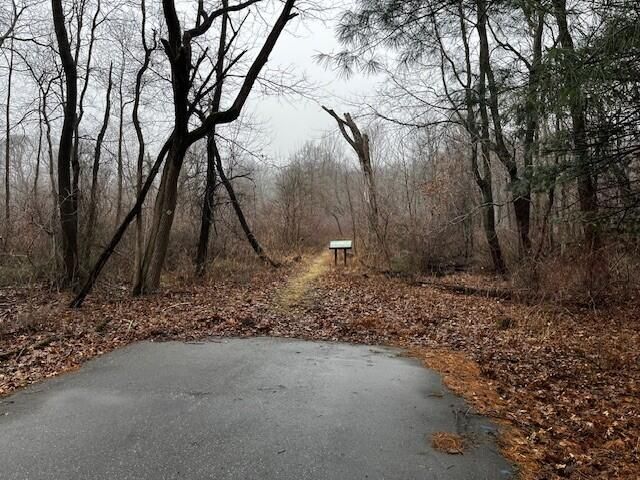 514 E Bellevue Avenue, Beverly Shores, IN 46301