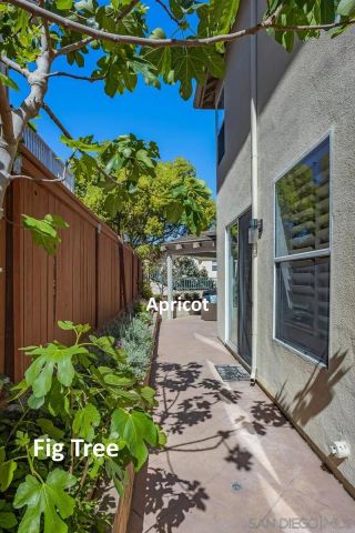 5012 Pearlman Way, San Diego, CA 92130