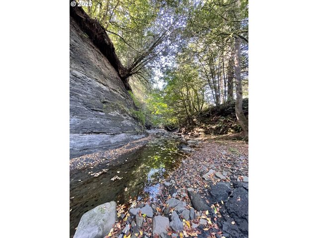 46255 HIGHWAY 242, Myrtle Point, OR 97458