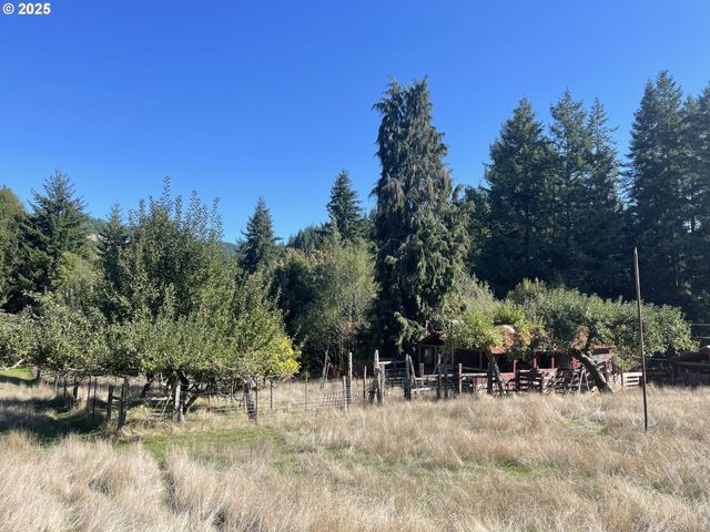 46255 HIGHWAY 242, Myrtle Point, OR 97458