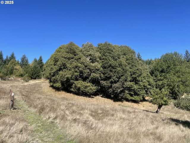 46255 HIGHWAY 242, Myrtle Point, OR 97458