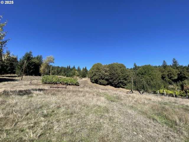 46255 HIGHWAY 242, Myrtle Point, OR 97458