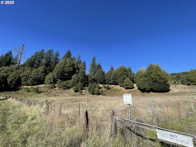 46255 HIGHWAY 242, Myrtle Point, OR 97458