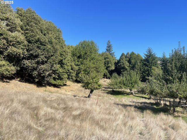 46255 HIGHWAY 242, Myrtle Point, OR 97458