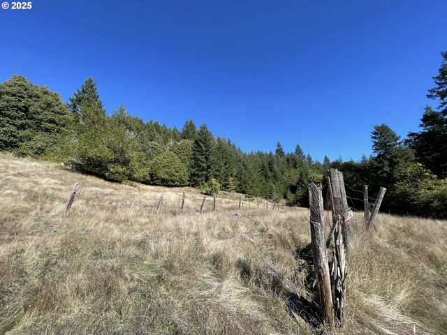 46255 HIGHWAY 242, Myrtle Point, OR 97458