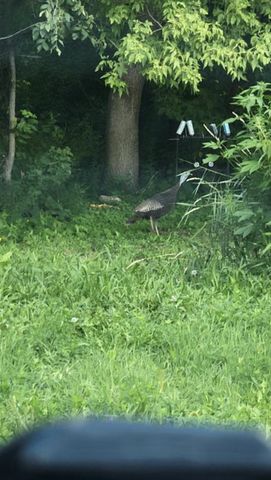 23000 Larsen Road, Corcoran, MN 55340