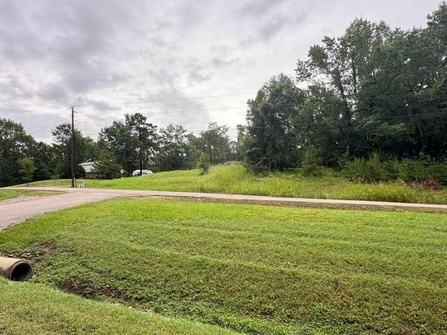 TBD Holiday Boulevard, Coldspring, TX 77331