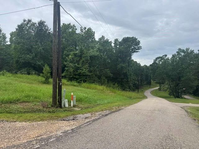 TBD Holiday Boulevard, Coldspring, TX 77331