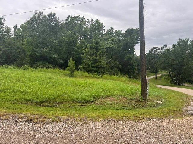 TBD Holiday Boulevard, Coldspring, TX 77331