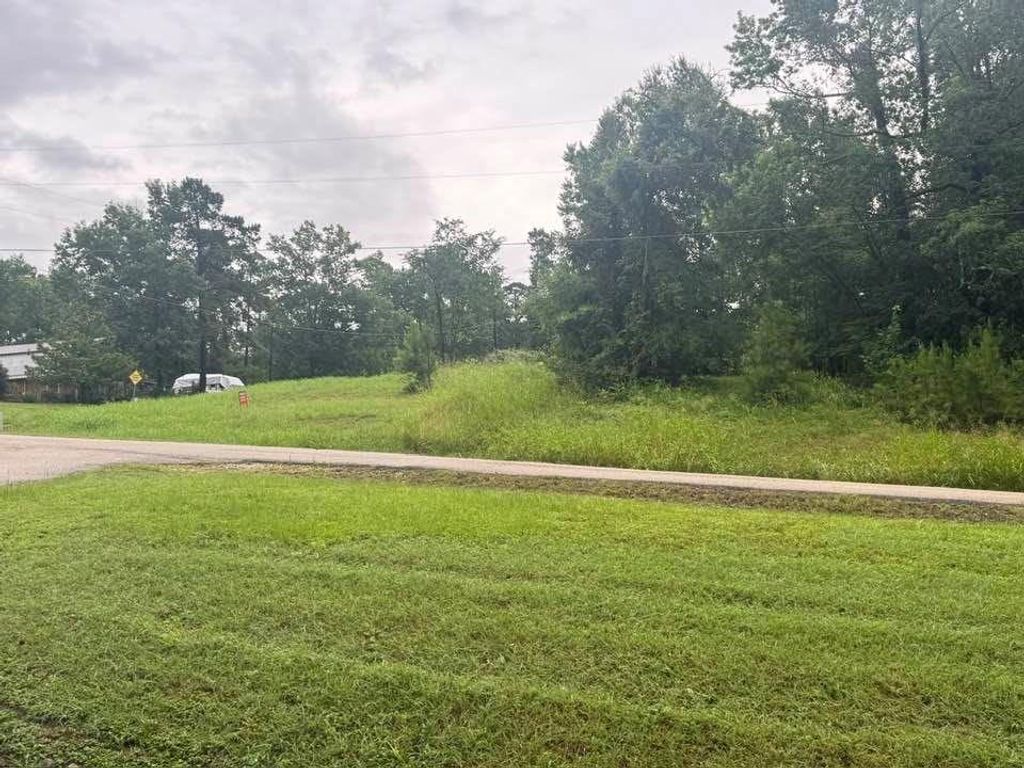 TBD Holiday Boulevard, Coldspring, TX 77331