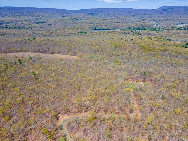tbd Forest Glen Road, Pine Bush, NY 12566